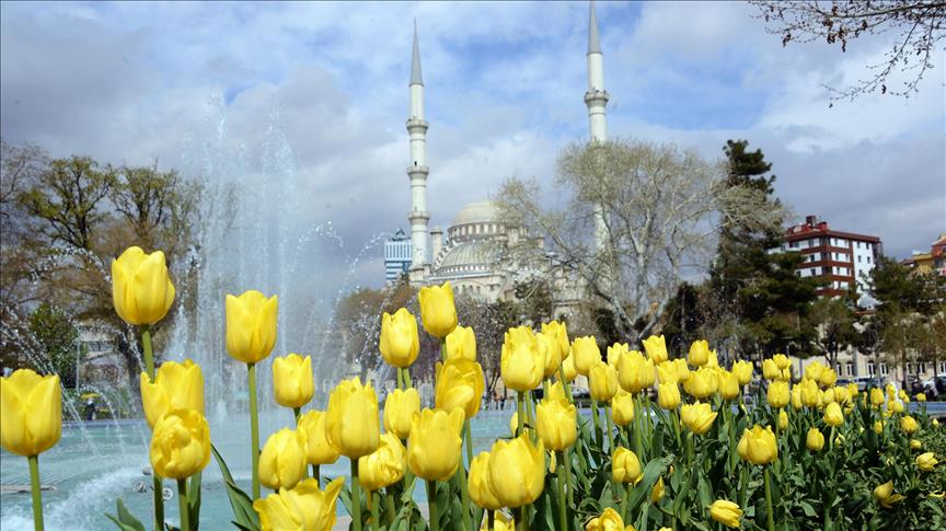 'Konya'da 'lale mevsimi' yaşanıyor'