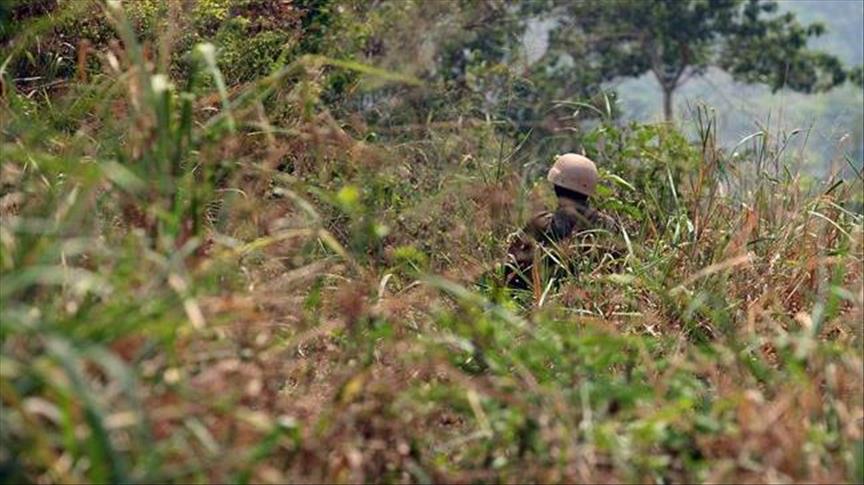 Cameroun : Deux soldats tués dans l'explosion d'une mine dans l'Extrême-Nord