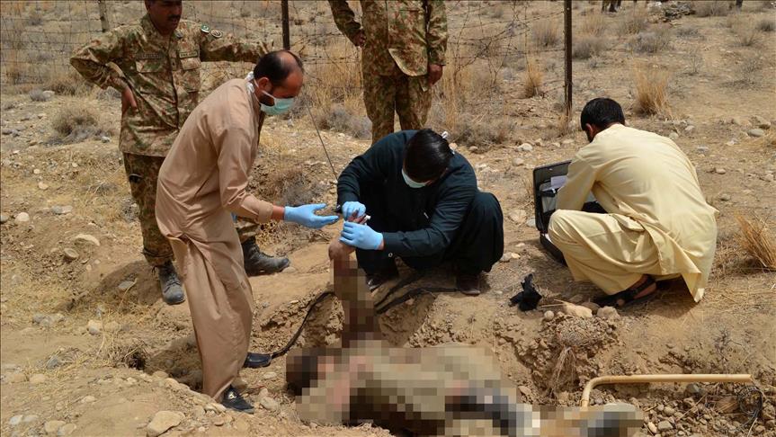 10 killed in land mine blast in northwest Pakistan