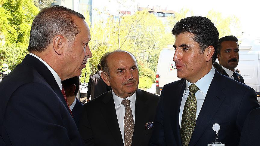 Президент Турции принял вице-премьера КРАИ