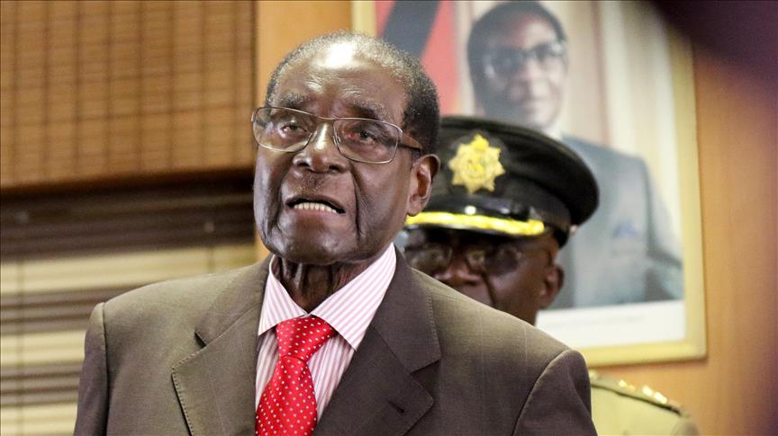 Zimbabwe: Alliance to defeat Mugabe comes under fire