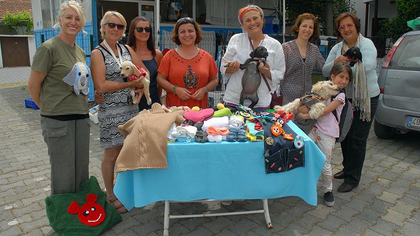 İlmekler sokak hayvanları için atılacak