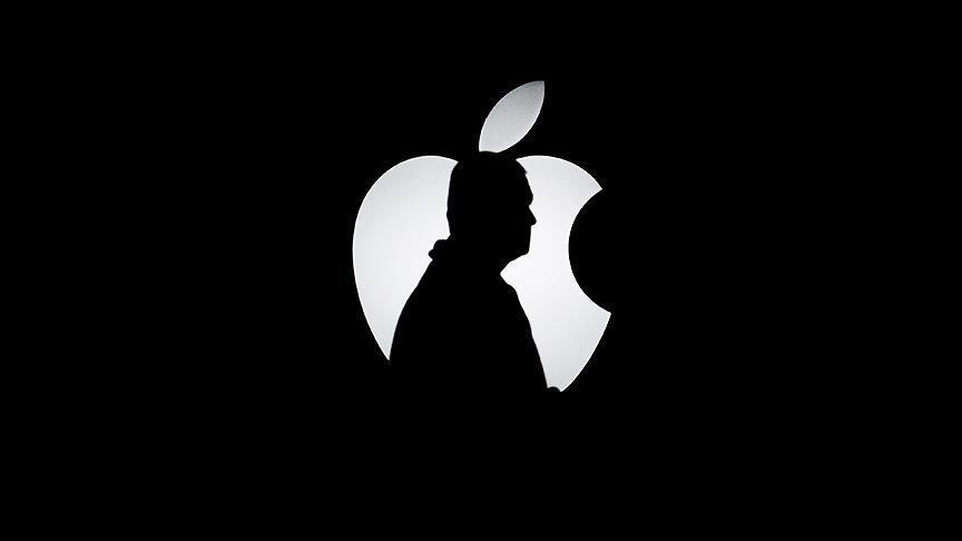 Apple net income, revenue rise
