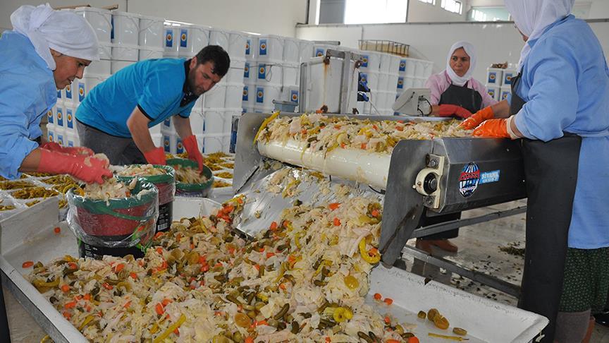 Ev tipi turşuyla dünya sofralarına girdi