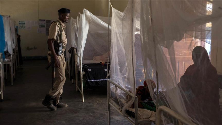 Somalia: Cholera outbreak death toll tops 700