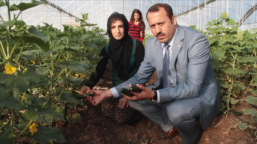 Elazığ'da seracılığa kadın eli değdi 