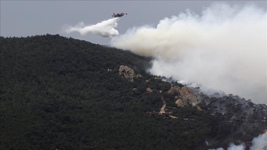 Halil Sahinizmir De Yanginda Zarar Goren Alan Agaclandirilacak