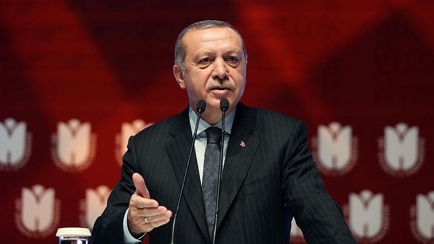 Turkey is fighting terrorist propaganda: Erdogan