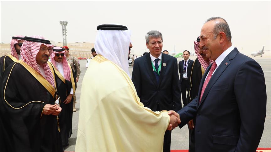 Turkish FM arrives in Saudi for US-Islamic summit