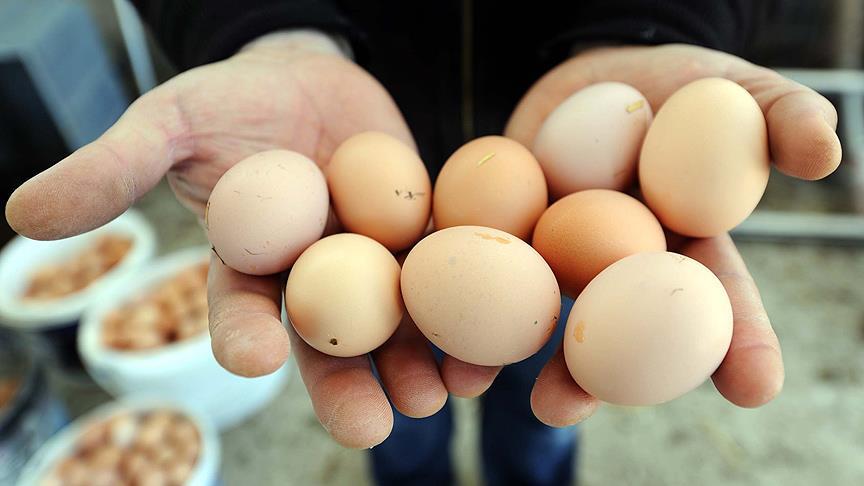 Yumurta fiyatları düştü tavuk fiyatları yükseldi