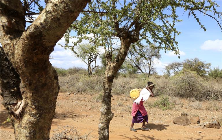 Kenya sees launch of high-tech anti-hunger effort