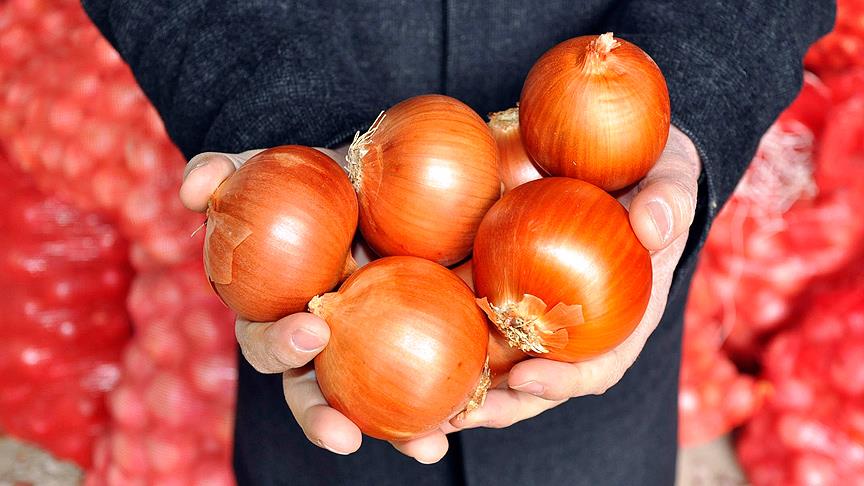Kuru soğan ihracatından 8,6 milyon dolar gelir