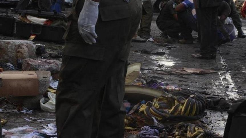 7 killed in twin suicide attack in northern Cameroon