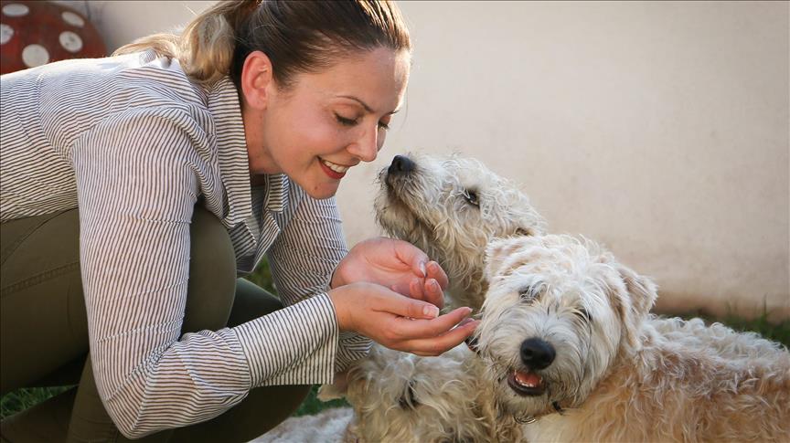 Psiholog Sonja Stančić pokušava u BiH dovesti terapijske pse za pomoć djeci i odraslima