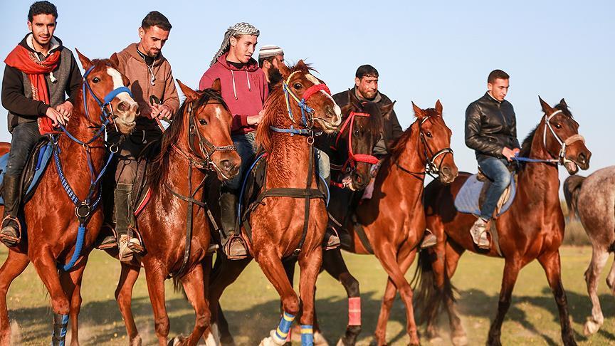 Gaza horses groan under Israeli siege