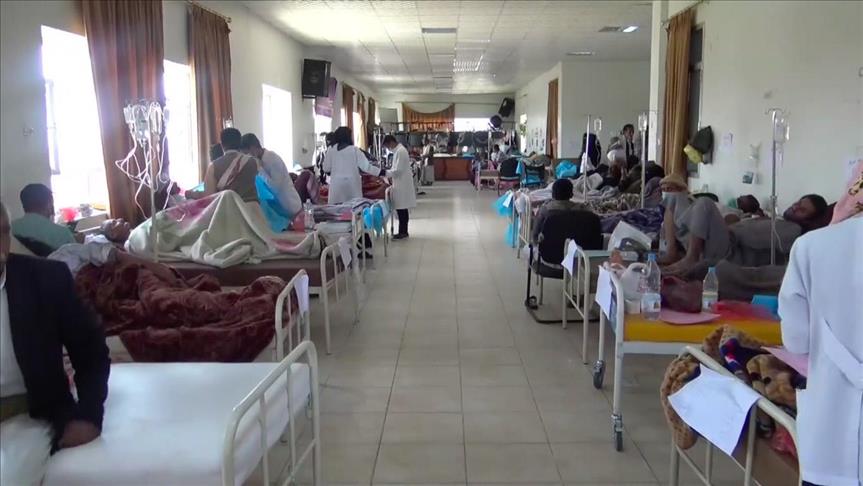 Cholera death toll in Yemen rises to 676: WHO
