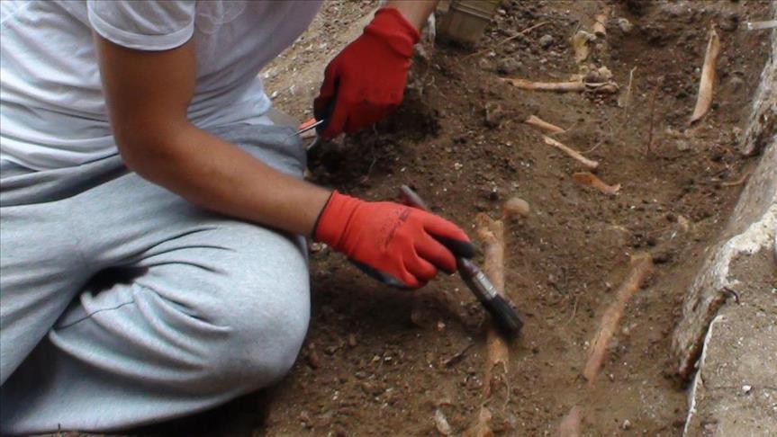 Le berceau de l'humanité serait en dehors de l'Afrique de l'Est