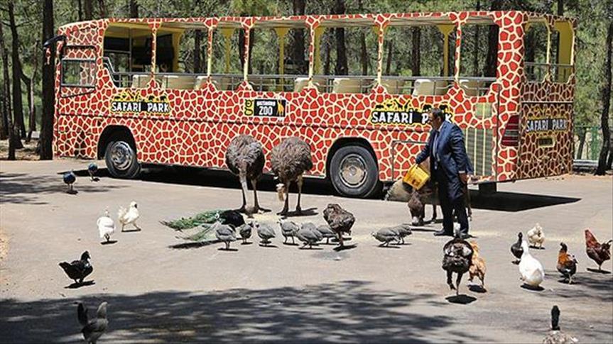 Turquie: Le Zoo de Gaziantep, plus grand parc animalier du pays, offre l’expérience du safari  