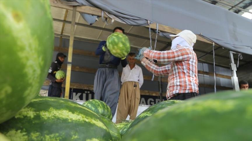 عەلوەی سلێمانی لە رەمەزاندا 
