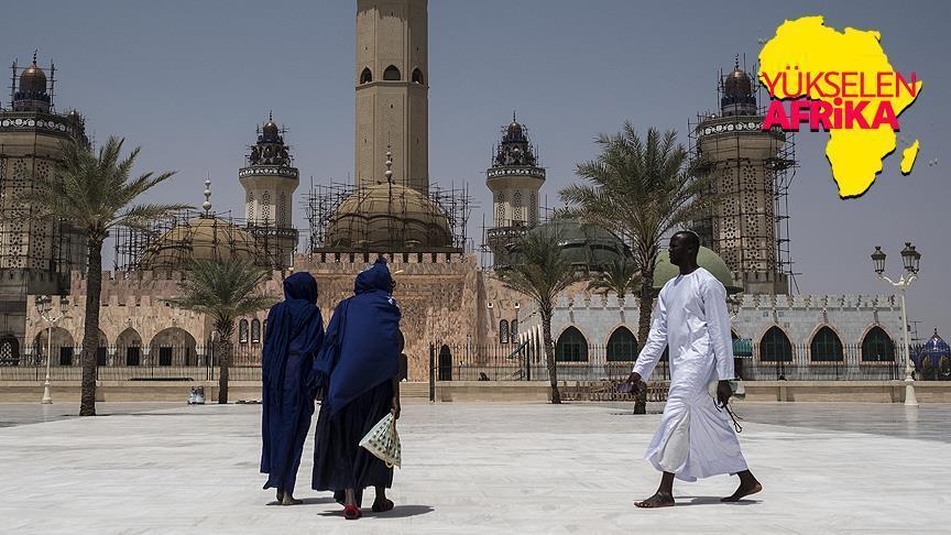 Senegal's business official praises Turkish investors