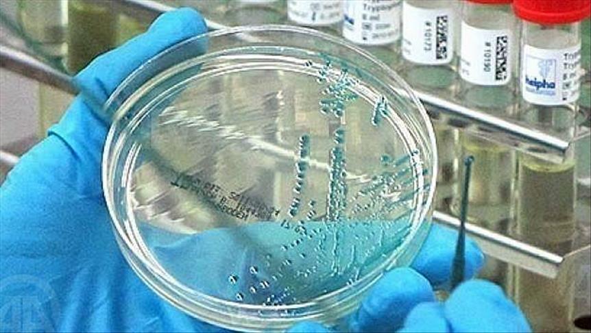 US scientists decry use of 2 antimicrobial chemicals