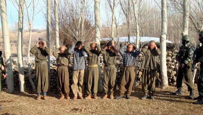 6 PKK terrorists surrender in SE Turkey