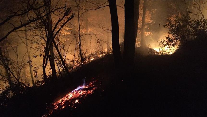 Поради шумски пожар на југот од Шпанија евакуирани најмалку 1.000 луѓе