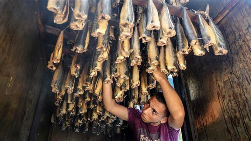 Augmentation de la production et de la consommation du poisson « Ringa » pendant l’Aïd à Gaza