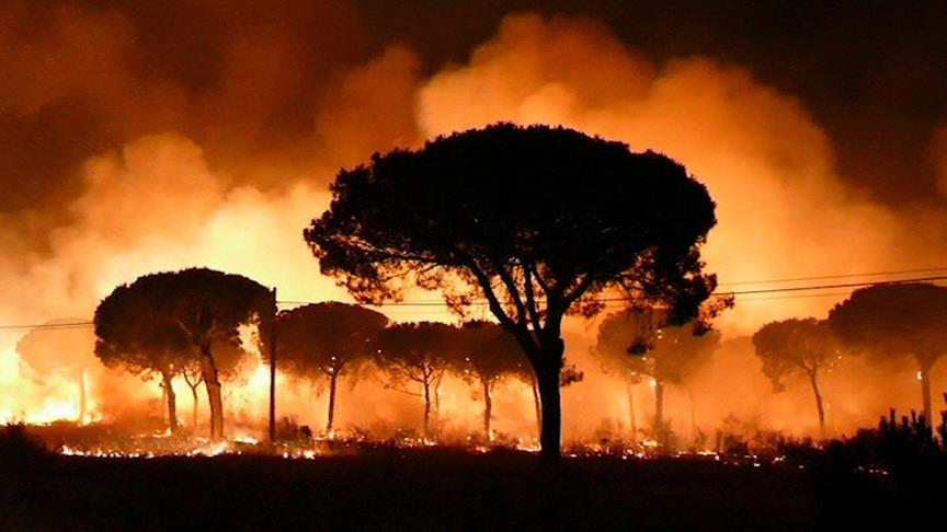 İspanya'daki orman yangını nedeniyle 2 bin kişi tahliye edildi