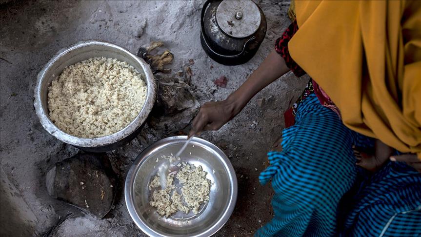 Only 3 African countries have low-level hunger: Report