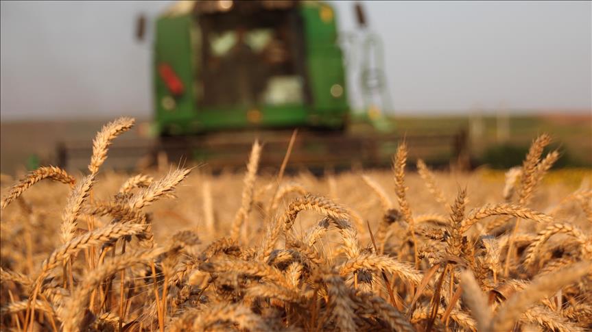 Turkey: Conservation agriculture conference begins