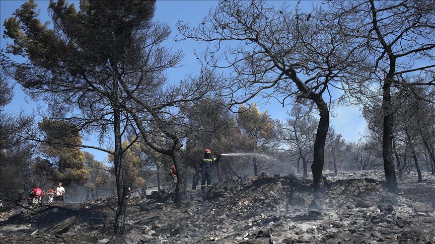 Zjarret në disa zona të Shqipërisë, angazhohen forcat ushtarake