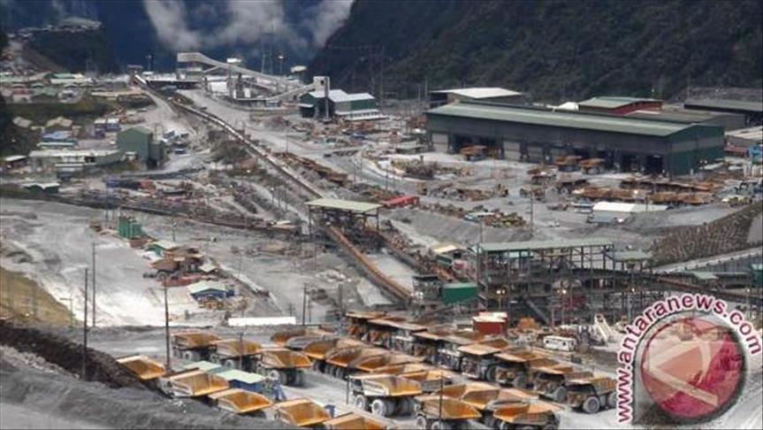 Peneliti: PT Freeport punya Divisi Lingkungan