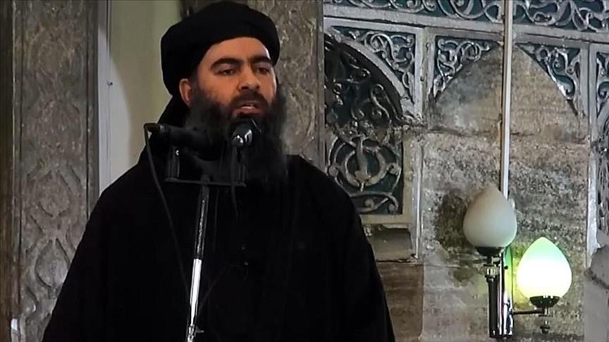 Daesh leader still alive: Iraqi intelligence official