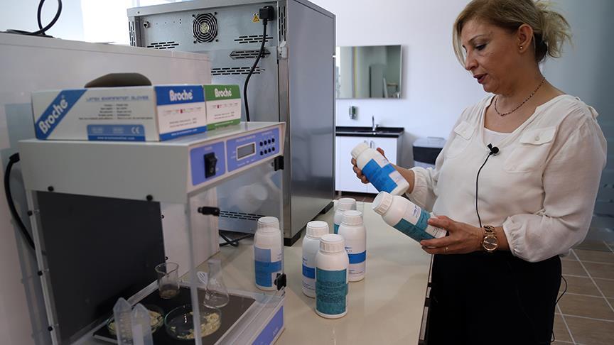 Petrol kirliliğini yerli bakterilerle temizlediler