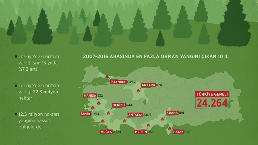 10 yılda 24 bin 264 orman yangını çıktı