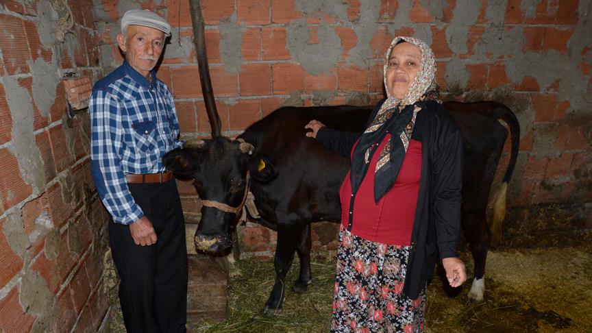 Yaşlı çiftin yüzü sosyal medya aracılığıyla güldü
