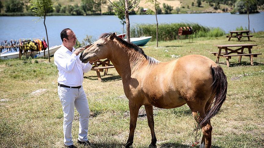 Mühendisliği bırakıp doğduğu yeri 'tatil köyü'ne dönüştürdü
