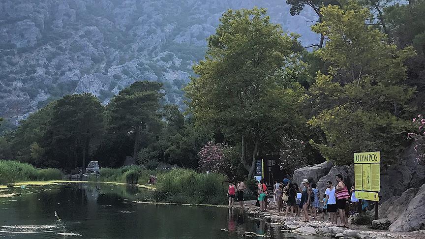 Olimpos'un zıplayan balıkları ilgi odağı