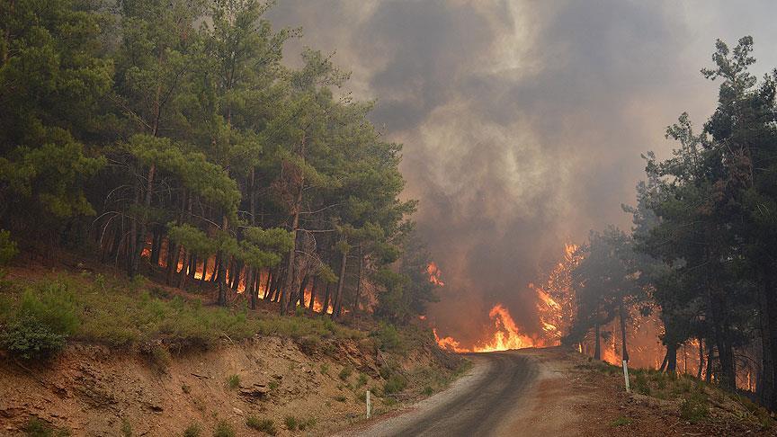 İzmir'in Urla ve Bayındır ilçelerinde orman yangını