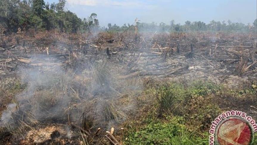 Bandara Aceh beroperasi normal, tidak terpengaruh asap
