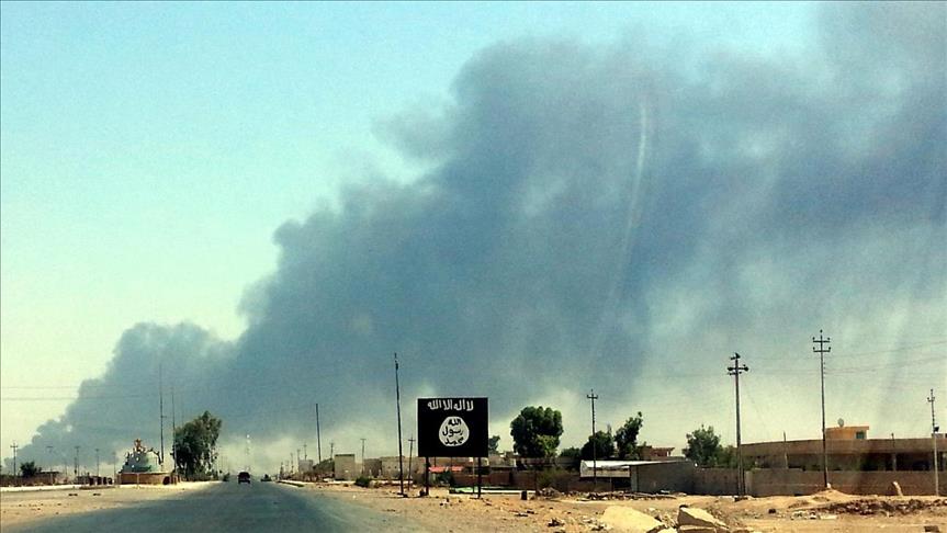 Iraqi raid kills 20 Daesh militants near Syria border