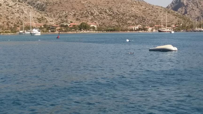 Owner dies as yacht sinks off southwest Turkey coast