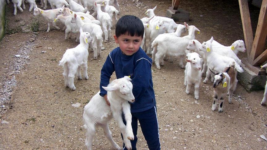 İyilikder'den Kurban Bayramı hediyesi