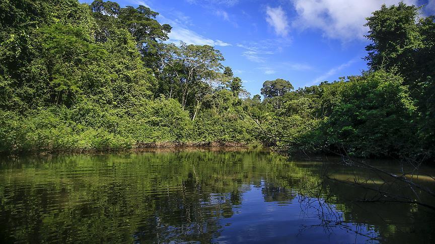 Los recursos anuales de la Tierra se agotaron en ocho meses