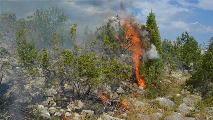 Požari bjesne u Makedoniji i Albaniji