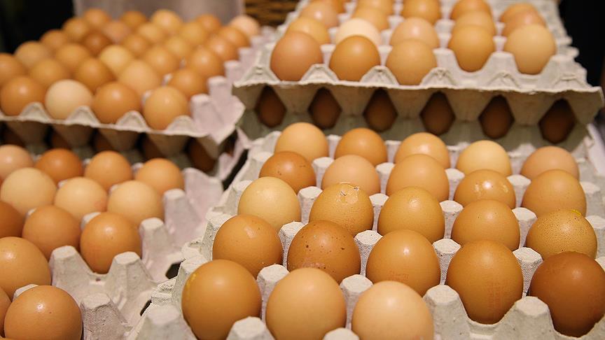 Hollanda hükümetinden 'ilaçlı yumurta' açıklaması
