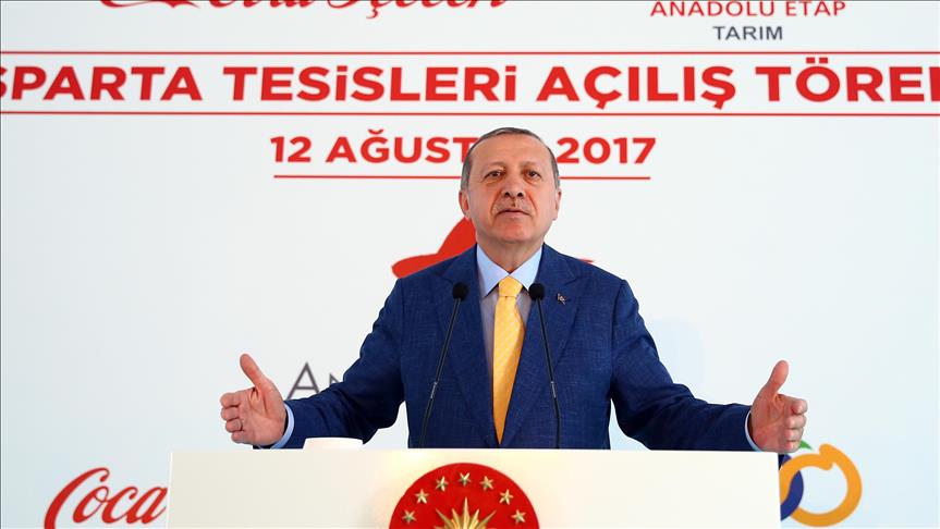Erdogan: Kritike evropskih zemalja upućene Turskoj tiču se njihove unutrašnje politike