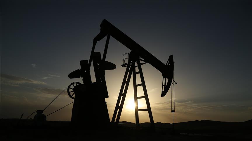 Petrolera venezolana PDVSA pierde ingresos de 33,5% en 2016