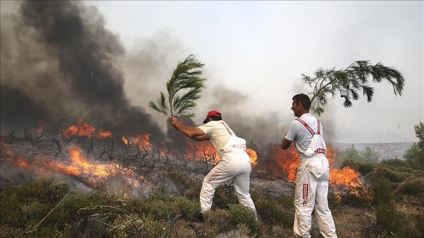 Greek firefighters tackle blazes near Athens